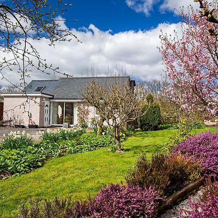 Ty'R Afon - River Cottage Bala Esterno foto